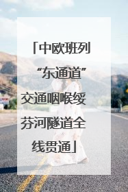 中欧班列“东通道”交通咽喉绥芬河隧道全线贯通