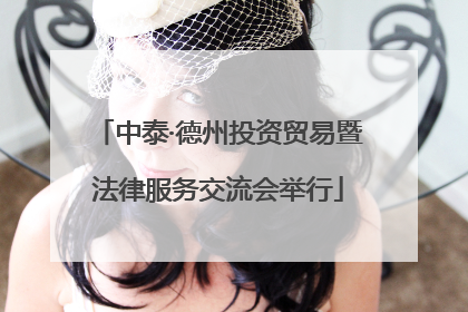 中泰·德州投资贸易暨法律服务交流会举行