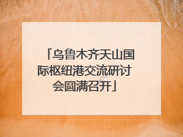 乌鲁木齐天山国际枢纽港交流研讨会圆满召开