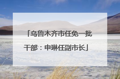 乌鲁木齐市任免一批干部：申琳任副市长