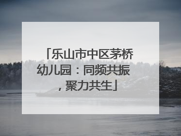 乐山市中区茅桥幼儿园：同频共振，聚力共生