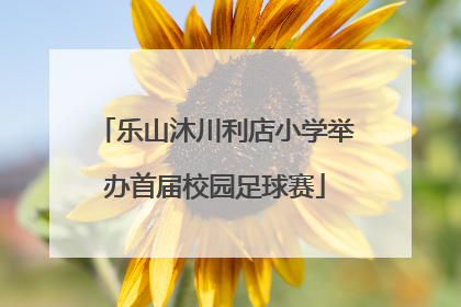 乐山沐川利店小学举办首届校园足球赛
