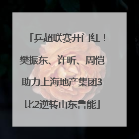 乒超联赛开门红！樊振东、许昕、周恺助力上海地产集团3比2逆转山东鲁能