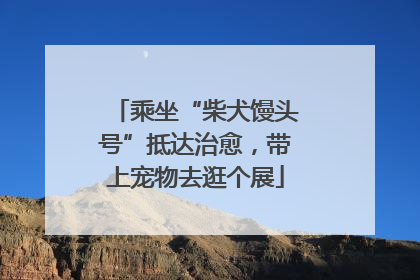 乘坐“柴犬馒头号”抵达治愈，带上宠物去逛个展