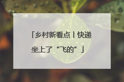 乡村新看点丨快递坐上了“飞的”