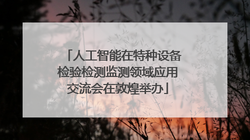人工智能在特种设备检验检测监测领域应用交流会在敦煌举办