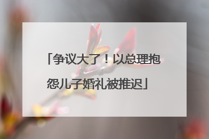 争议大了！以总理抱怨儿子婚礼被推迟