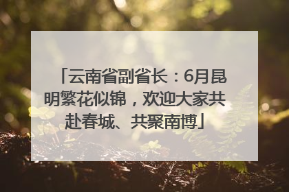 云南省副省长：6月昆明繁花似锦，欢迎大家共赴春城、共聚南博
