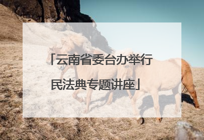 云南省委台办举行民法典专题讲座