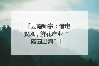 云南师宗：借电驭风，鲜花产业“破圈出海”