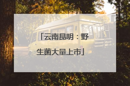 云南昆明：野生菌大量上市