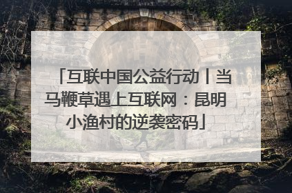 互联中国公益行动丨当马鞭草遇上互联网：昆明小渔村的逆袭密码