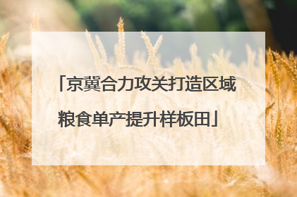 京冀合力攻关打造区域粮食单产提升样板田