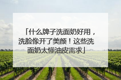什么牌子洗面奶好用，洗脸像开了美颜！这些洗面奶太懂油皮需求