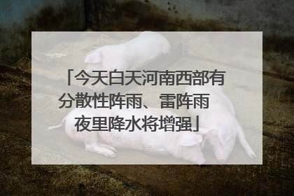 今天白天河南西部有分散性阵雨、雷阵雨 夜里降水将增强