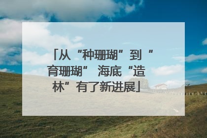 从“种珊瑚”到“育珊瑚” 海底“造林”有了新进展