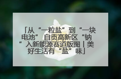 从“一粒盐”到“一块电池” 自贡高新区“钠”入新能源赛道版图丨美好生活有“盐”味