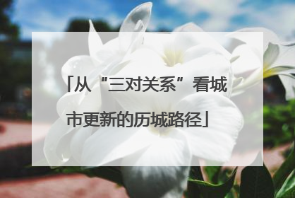 从“三对关系”看城市更新的历城路径