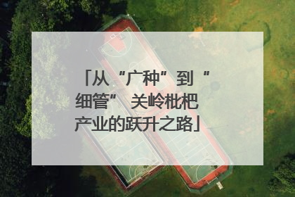 从“广种”到“细管” 关岭枇杷产业的跃升之路