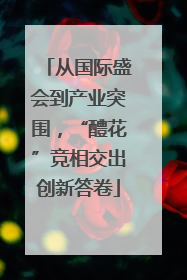 从国际盛会到产业突围，“醴花”竞相交出创新答卷