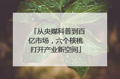 从央媒科普到百亿市场，六个核桃打开产业新空间
