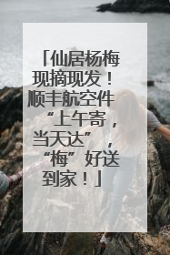 仙居杨梅现摘现发！顺丰航空件“上午寄，当天达”，“梅”好送到家！