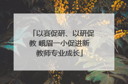 以赛促研、以研促教 峨眉一小促进新教师专业成长