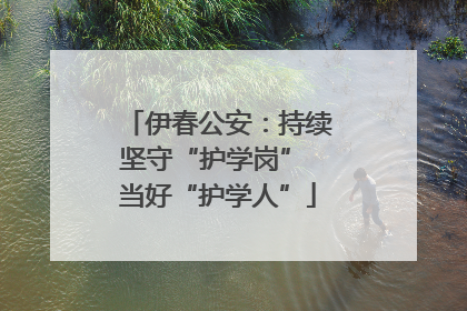 伊春公安：持续坚守“护学岗” 当好“护学人”