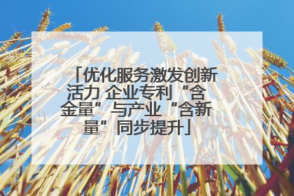 优化服务激发创新活力 企业专利“含金量”与产业“含新量”同步提升