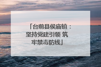 台前县侯庙镇：坚持党建引领 筑牢禁毒防线