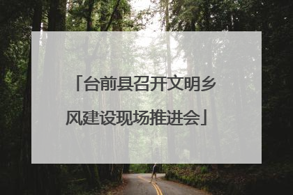 台前县召开文明乡风建设现场推进会