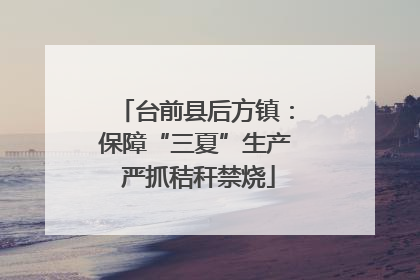 台前县后方镇：保障“三夏”生产 严抓秸秆禁烧