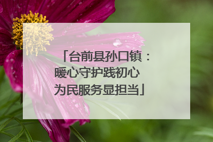 台前县孙口镇：暖心守护践初心 为民服务显担当