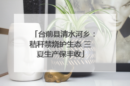 台前县清水河乡：秸秆禁烧护生态 三夏生产保丰收