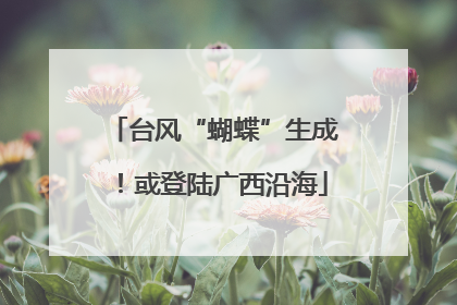 台风“蝴蝶”生成！或登陆广西沿海