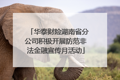 华泰财险湖南省分公司积极开展防范非法金融宣传月活动