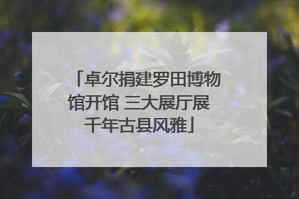 卓尔捐建罗田博物馆开馆 三大展厅展千年古县风雅