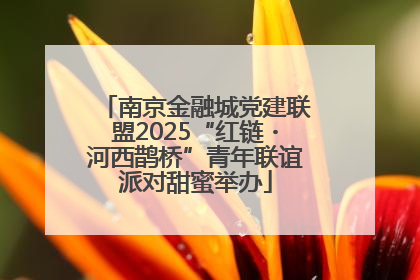 南京金融城党建联盟2025“红链・河西鹊桥”青年联谊派对甜蜜举办