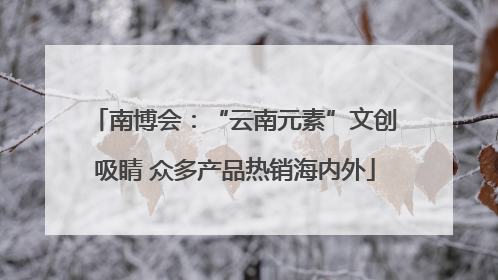 南博会：“云南元素”文创吸睛 众多产品热销海内外