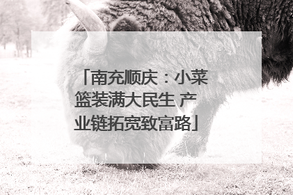 南充顺庆：小菜篮装满大民生 产业链拓宽致富路