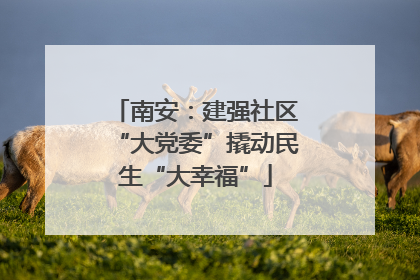 南安：建强社区“大党委”撬动民生“大幸福”