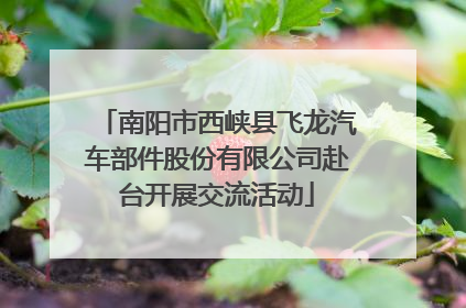 南阳市西峡县飞龙汽车部件股份有限公司赴台开展交流活动