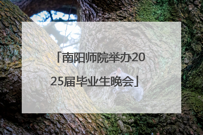 南阳师院举办2025届毕业生晚会