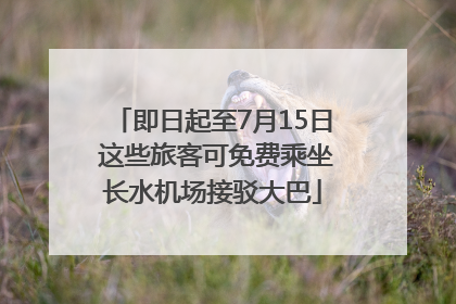 即日起至7月15日 这些旅客可免费乘坐长水机场接驳大巴
