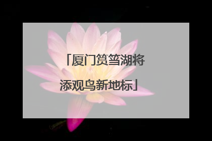 厦门筼筜湖将添观鸟新地标