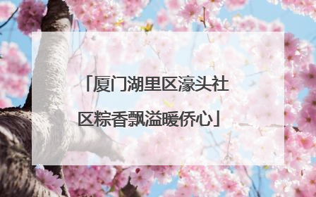 厦门湖里区濠头社区粽香飘溢暖侨心