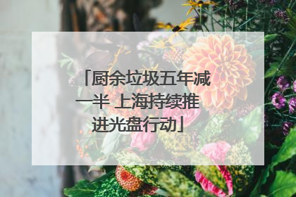 厨余垃圾五年减一半 上海持续推进光盘行动