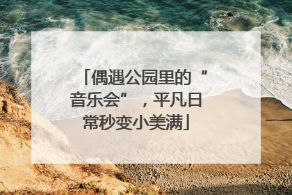 偶遇公园里的“音乐会”，平凡日常秒变小美满