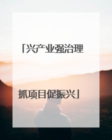 兴产业强治理 抓项目促振兴