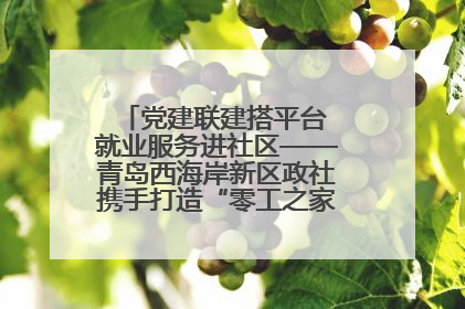 党建联建搭平台 就业服务进社区——青岛西海岸新区政社携手打造“零工之家”就业服务新阵地